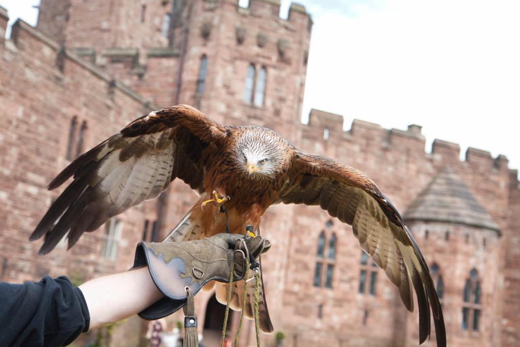 Peckforton Castle Tarporley Exteriör bild